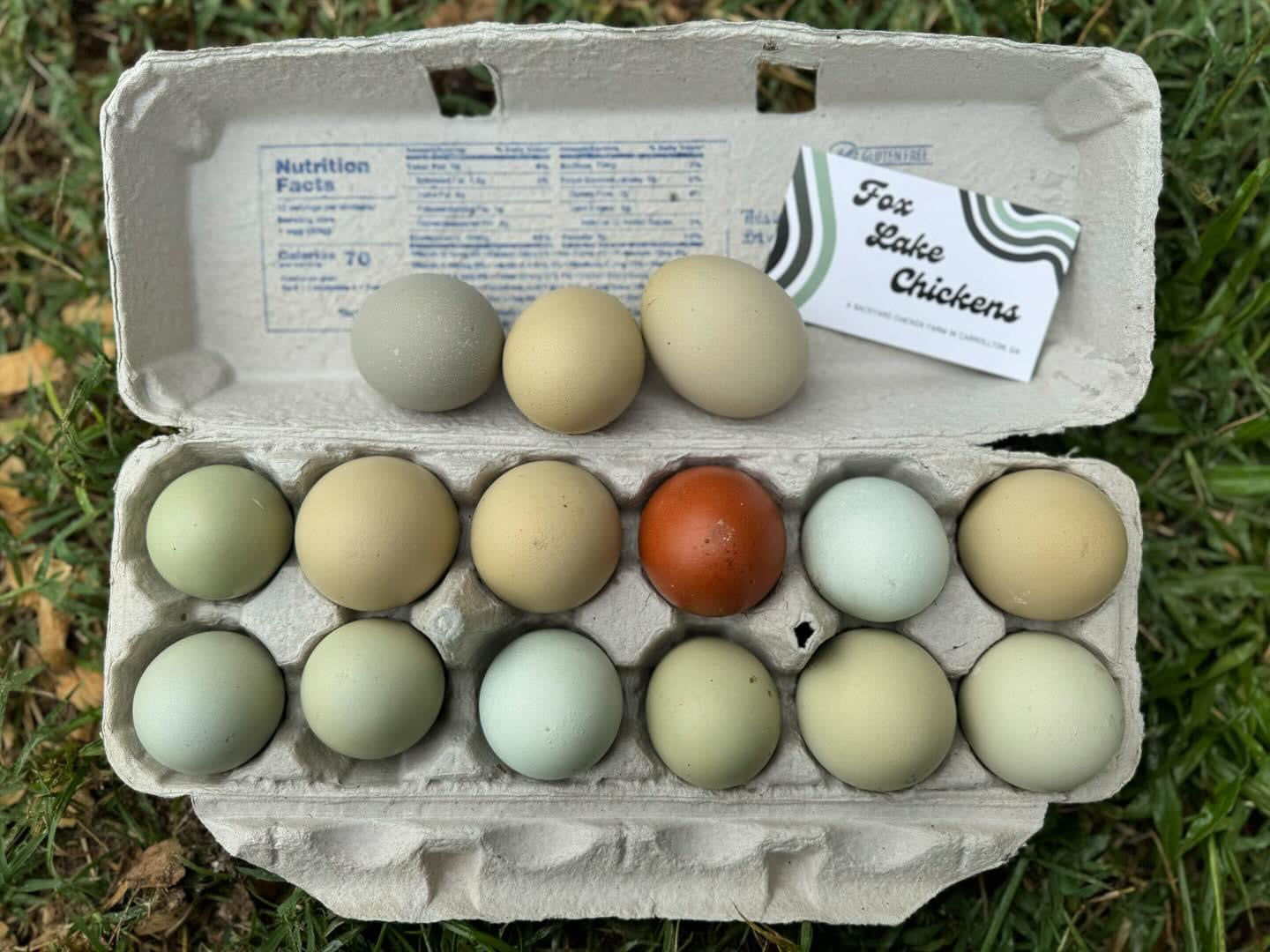 Mystery Assortment Hatching Eggs