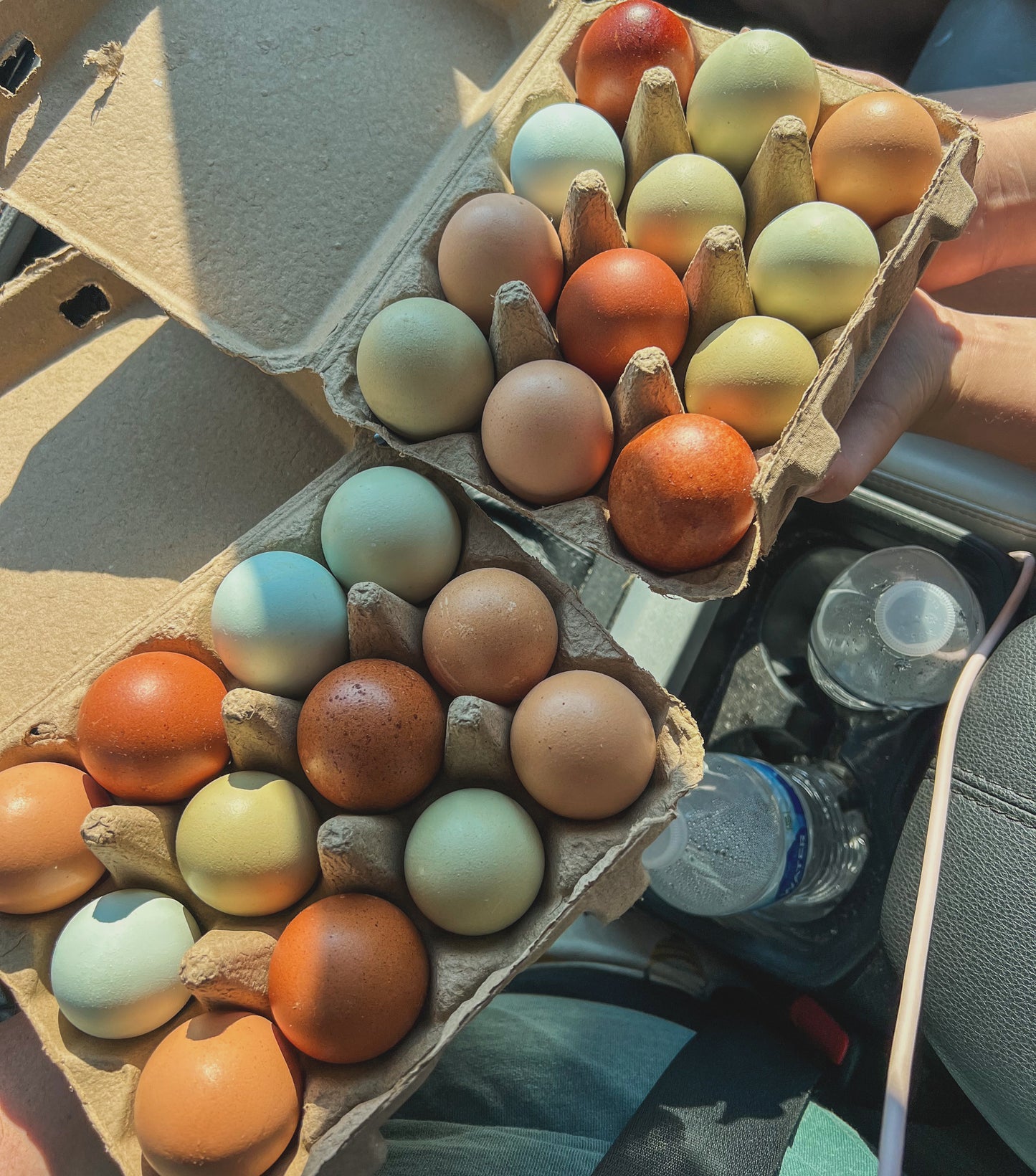 Eating Eggs