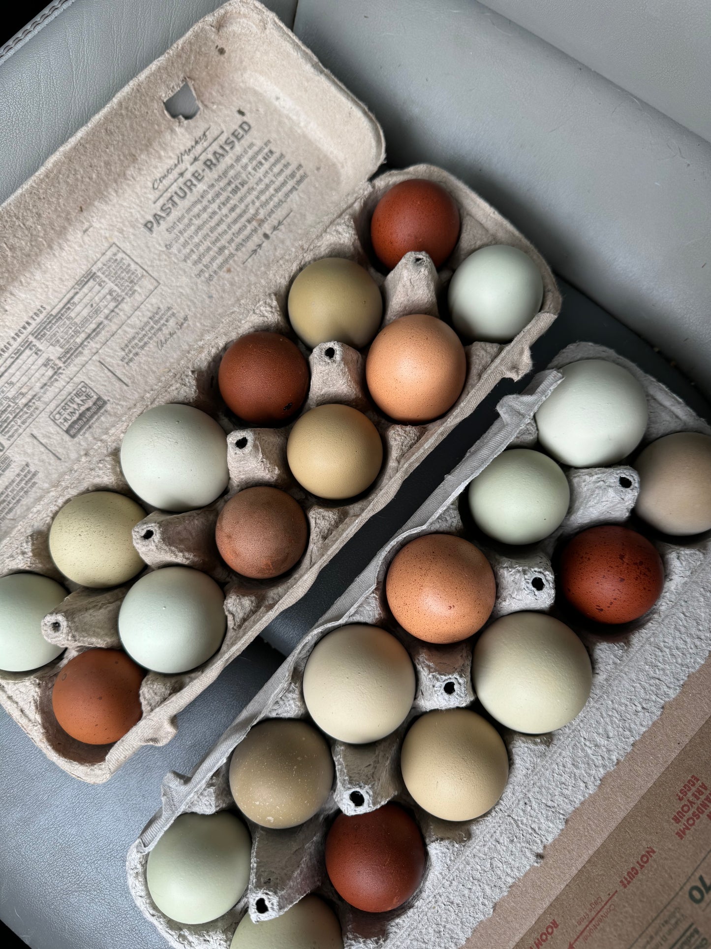 Mystery Assortment Hatching Eggs