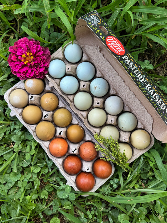 Rainbow Assortment Hatching Eggs